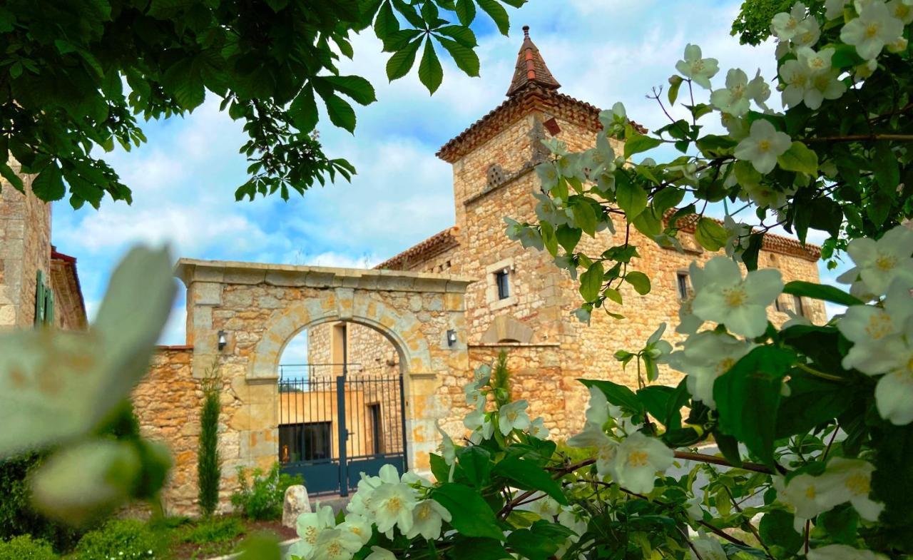 Domaine De Lejos - Portes D'Albi Lamillarié Exterior photo