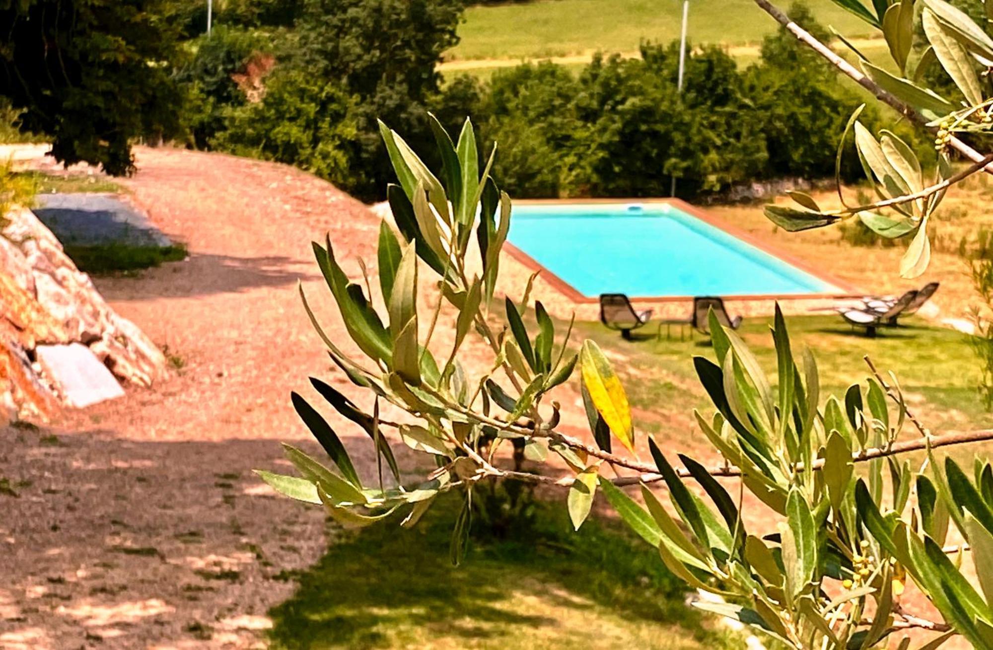 Domaine De Lejos - Portes D'Albi Lamillarié Exterior photo